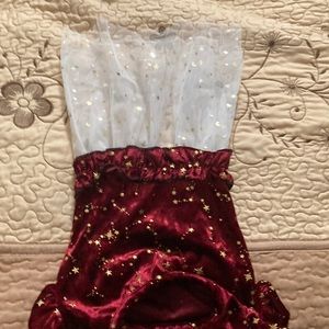 A Christmas Dress for smaller dogs